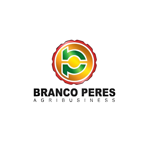 Conecta - Cliente: Branco Peres 